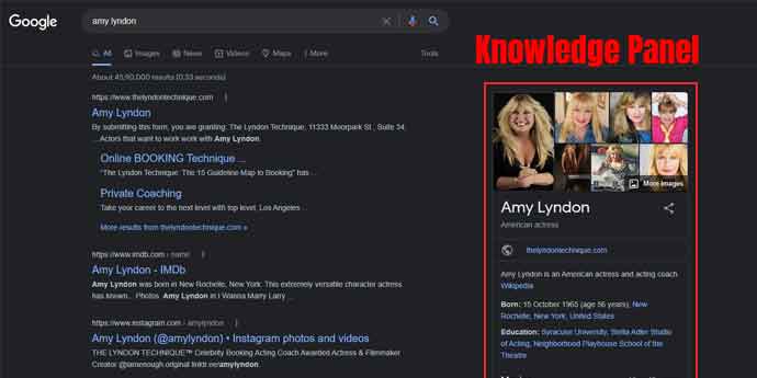 Google knowledge panel for Artists