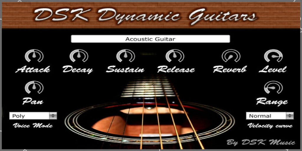 2DSK Dynamic Guitars scaled 1