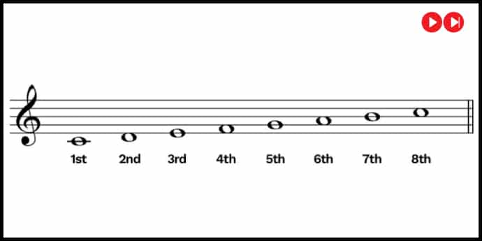 The Scale Degree Names Explained Hello Music Theory