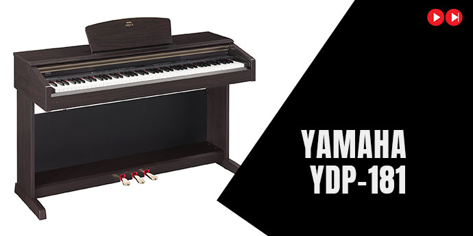 Yamaha YDP 181